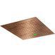 Лейка верхнего душа скрытого монтажа Mariner Chromotherapy WLS3944Q-RS, Brushed Copper WLS3944Q-RS фото