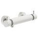 Змішувач для душу з термостатом Mariner Thermostatics TER1001-BO, Matte White TER1001-BO фото